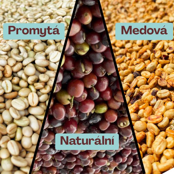 zpracování kávy - naturální, promytá, medová