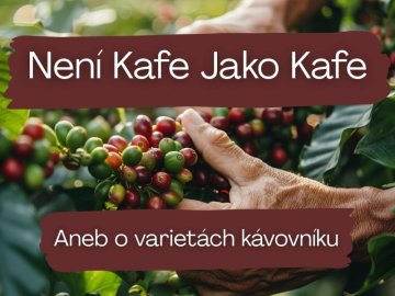 Variety Arabiky: Proč nejsou zrnka jako zrnka?