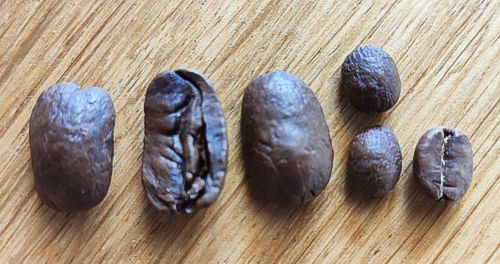 čerstvě pražená káva z Guatemaly Maragogype