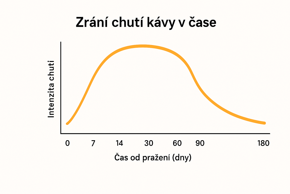 Chuť kávy se po pražení vyvíjí – tento graf ukazuje, kdy je ideální doba pro její přípravu, a proč je důležité nevařit ji příliš brzy.